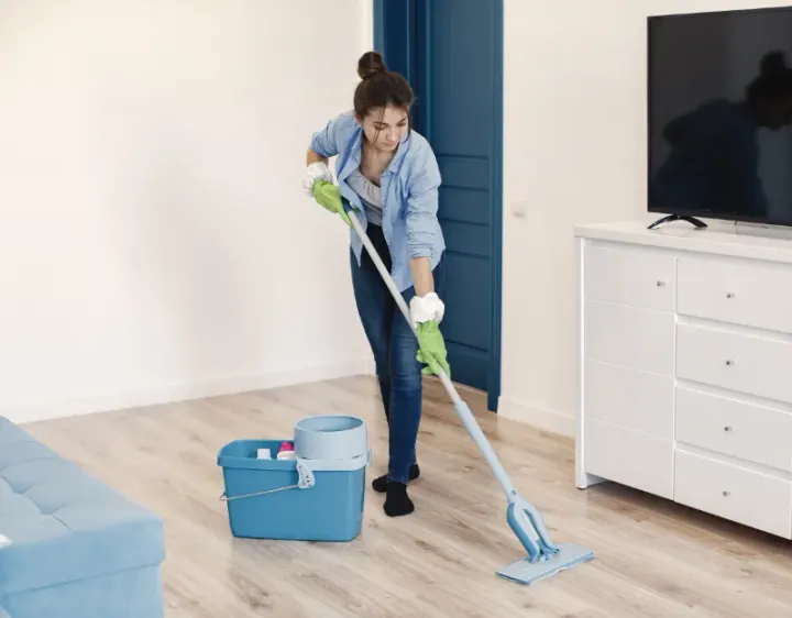 Femme de ménage Waville